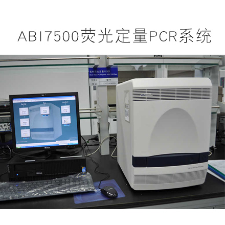 美國(guó)ABI7500熒光定量pcr儀系統(tǒng)